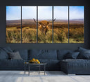 Scottish Highland Cow Cattle Art Canvas Print Farmhouse Wall