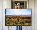 Scottish Highland Cow Cattle Art Canvas Print Farmhouse Wall