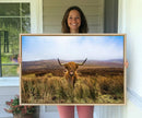 Scottish Highland Cow Cattle Art Canvas Print Farmhouse Wall