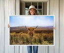 Scottish Highland Cow Cattle Art Canvas Print Farmhouse Wall