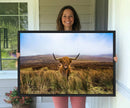 Scottish Highland Cow Cattle Art Canvas Print Farmhouse Wall