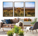 Scottish Highland Cow Cattle Art Canvas Print Farmhouse Wall