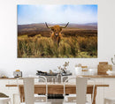 Scottish Highland Cow Cattle Art Canvas Print Farmhouse Wall