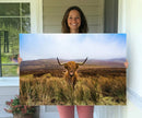 Scottish Highland Cow Cattle Art Canvas Print Farmhouse Wall