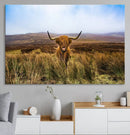 Scottish Highland Cow Cattle Art Canvas Print Farmhouse Wall