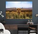 Scottish Highland Cow Cattle Art Canvas Print Farmhouse Wall