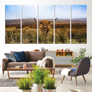Scottish Highland Cow Cattle Art Canvas Print Farmhouse Wall