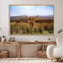 Scottish Highland Cow Cattle Art Canvas Print Farmhouse Wall