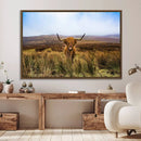 Scottish Highland Cow Cattle Art Canvas Print Farmhouse Wall