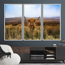 Scottish Highland Cow Cattle Art Canvas Print Farmhouse Wall