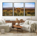 Scottish Highland Cow Cattle Art Canvas Print Farmhouse Wall