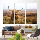 Scottish Highland Cow Cattle Art Print Farmhouse Wall Art
