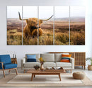Scottish Highland Cow Cattle Art Print Farmhouse Wall Art