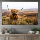 Scottish Highland Cow Cattle Art Print Farmhouse Wall Art
