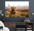 Scottish Highland Cow Cattle Art Print Farmhouse Wall Art