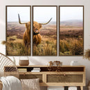 Scottish Highland Cow Cattle Art Print Farmhouse Wall Art