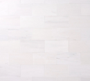 Dolomite (Bianco) 12" x 24" Honed Tile
