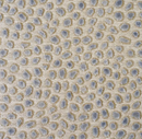 Cosma Velvet Pillow Cover in Grey
