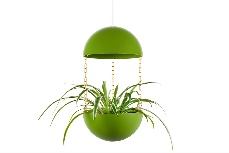 Pendant Planter