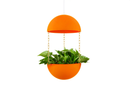 Pendant Planter by Potifiv