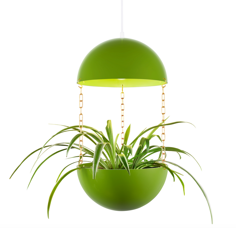 Pendant Planter