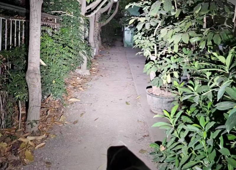 Compact Terminator M2 Dual Head LED Flashlight (Limited Edition) - Acebeam® Exclusive