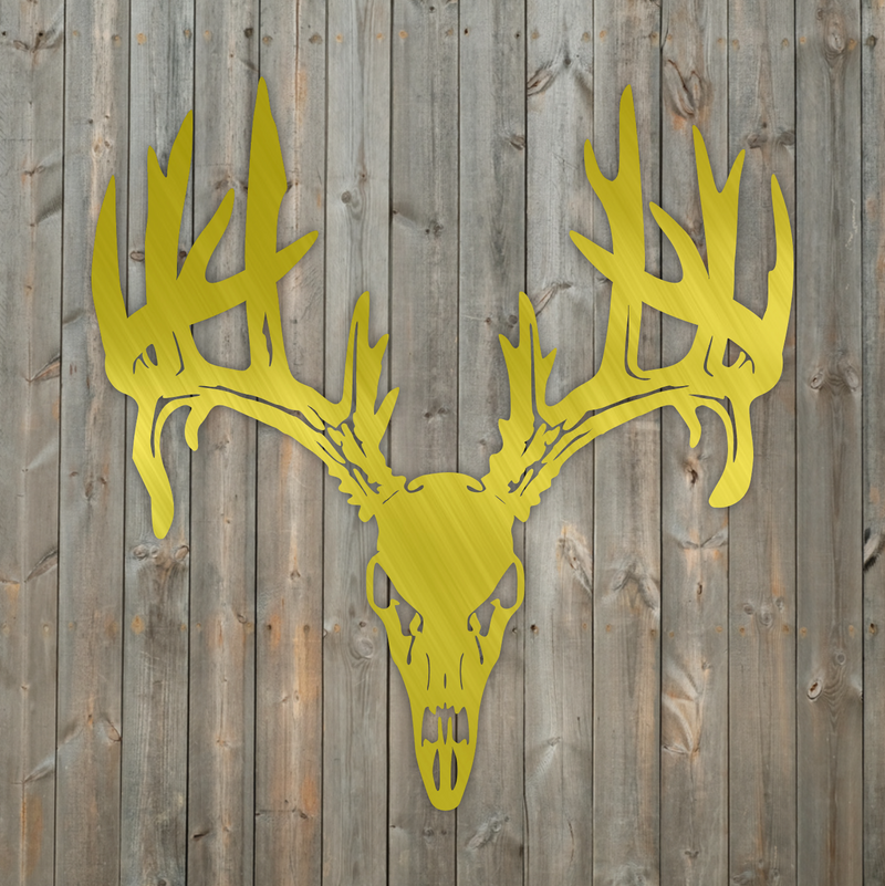Deer Skull
