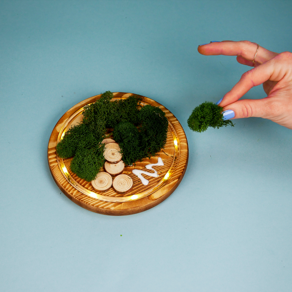 LED Fairy Garden Kit, photo 3 of 8