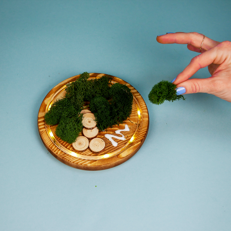 LED Fairy Garden Kit, photo 3 of 8