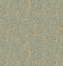 Main Spaces Samples