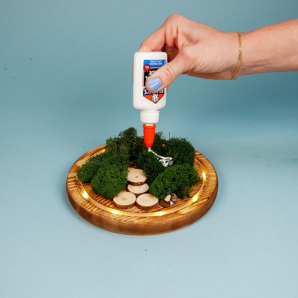 LED Fairy Garden Kit, photo 4 of 8