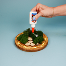 LED Fairy Garden Kit