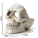 GobekUsa Creative Skull Ashtray - Halloween Decor & Smoking Accessory, Portable & Windproof Resin Craft Gift