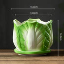GobekUsa Cabbage Flowerpot with Tray | Creative Cartoon Vegetable Basin | Indoor Garden Flower Vase