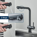 GobekUsa Black Gourmet Kitchen Faucet with Flexible Sprayer and Dual Nozzle