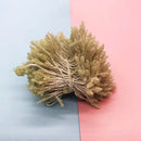 GobekUsa 200pc Mini Flower Stamen Pistil Wedding Decoration DIY Artificial Cards Flowers