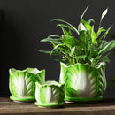 GobekUsa Cabbage Flowerpot with Tray | Creative Cartoon Vegetable Basin | Indoor Garden Flower Vase