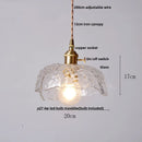 GobekUsa Clear Glass LED Pendant Light Fixture for Modern Home Decor