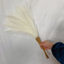 GobekUsa Fluffy Pampas Grass Boho Decor Pampas Grass.