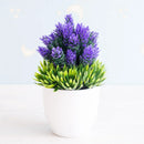 GobekUsa Artificial Bonsai Tree Potted Plant for Home, Hotel & Garden Decor
