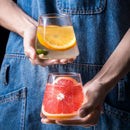 GobekUsa Fuji Mountain Glass Drinkware for Christmas, Water, Beer, Juice, Coffee, Whiskey, Wine