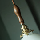 GobekUsa Glass LED Pendant Flower Lampshade for Bedroom & Living Room Decor