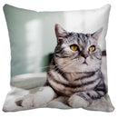 GobekUsa Bubble Black Cats Cat Pillow Cases Sofa Home Decor Custom Cushion Cover
