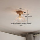 GobekUsa Clear Glass LED Ceiling Light, Modern Nordic Bedroom Decor Ceiling Lamp
