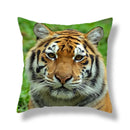 GobekUsa Brave Tiger Pattern Print Pillowcase, Super Peach Skin Cushion Cover