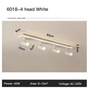 GobekUsa LED Ceiling Lamp Spotlights for Living Room Bedroom Dining Indoor Lighting