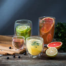 GobekUsa Double Wall Borosilicate Glass Mug Set for Tea Coffee Juice Bar Drinkware