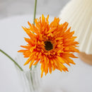GobekUsa Brushed Gerbera Vase: Home Decor, Wedding, Christmas, Party Wreaths & Scrapbooking