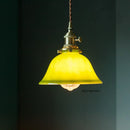 GobekUsa Green Glass LED Pendant Light for Home, Restaurant, Bar, and Loft Style Decor.