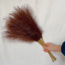 GobekUsa Fluffy Pampas Grass Boho Decor Pampas Grass.